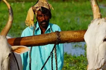 Village Life