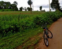 Cycling around farmlands