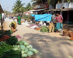 Fresh Vegetables Serving Resorts in Bangalore