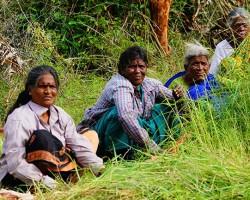 Farmland Resorts Near Bangalore