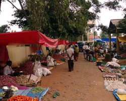 Local Vegetable Market Experience