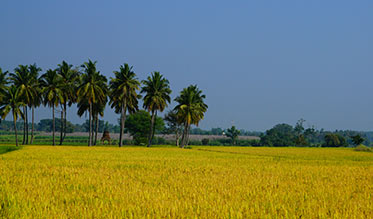 Nature photography tours around Bangalore