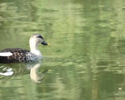 Personalized Bird Watching Trips