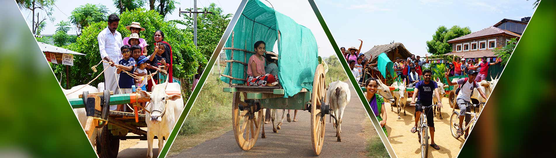 Bullock Cart Ride at Chukkimane