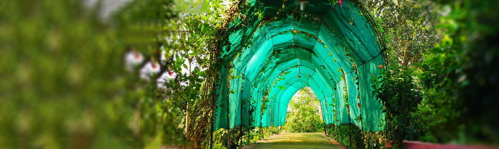 Nature Walk