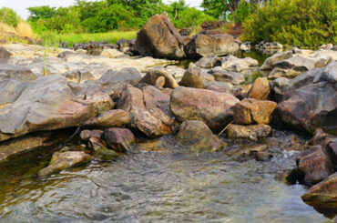 Natural Swim Benefits