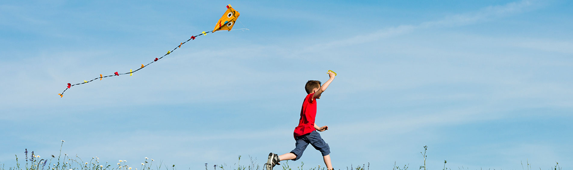 Kite Flying Places near Bangalore