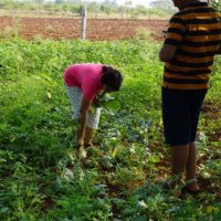 Agri Land Resorts Near Bangalore