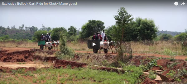 Exclusive Bullock cart Ride for Chukkimane Guest