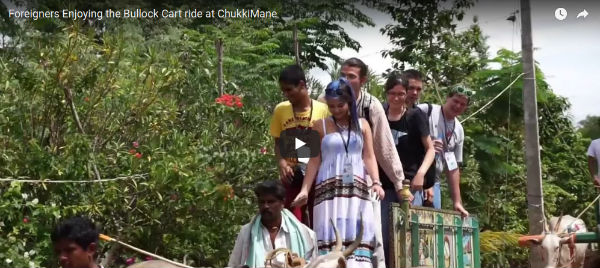 Foreigners Enjoying the Bullock cart ride at Chukkimane