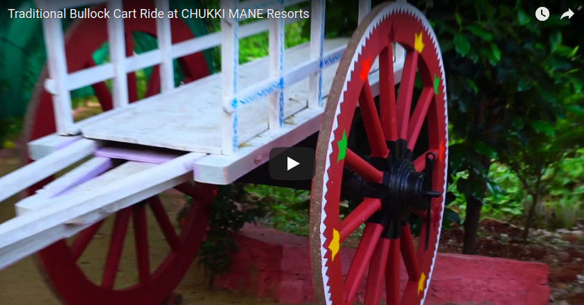 Traditional Bullock cart Ride at Chukkimane