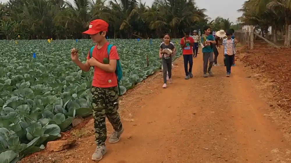 Children creating eco-friendly Earth Art with natural elements