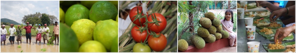 Organic farming food health permaculture