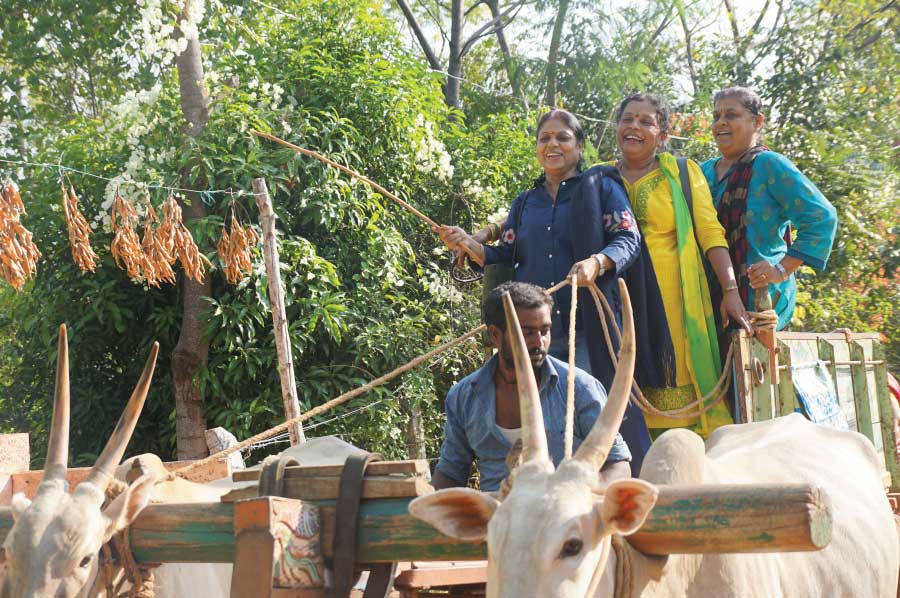 family-day-outing-resorts-near-bangalore