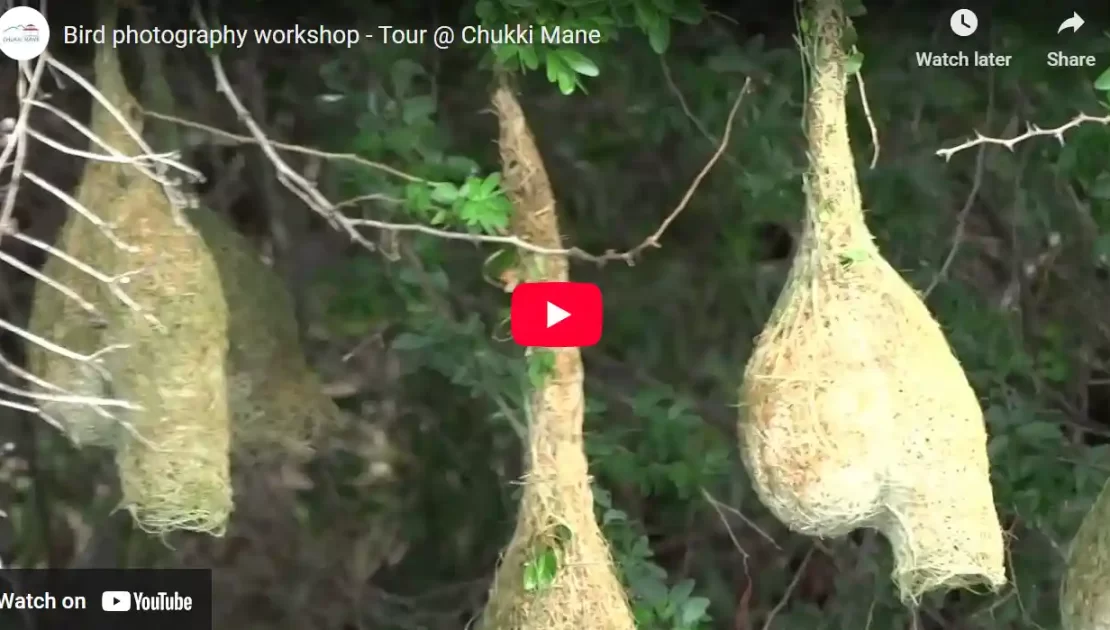 Bird photography workshop – Tour at Chukki Mane