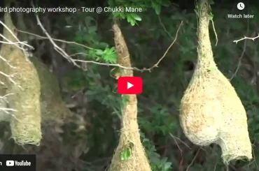 Bird photography workshop – Tour at Chukki Mane