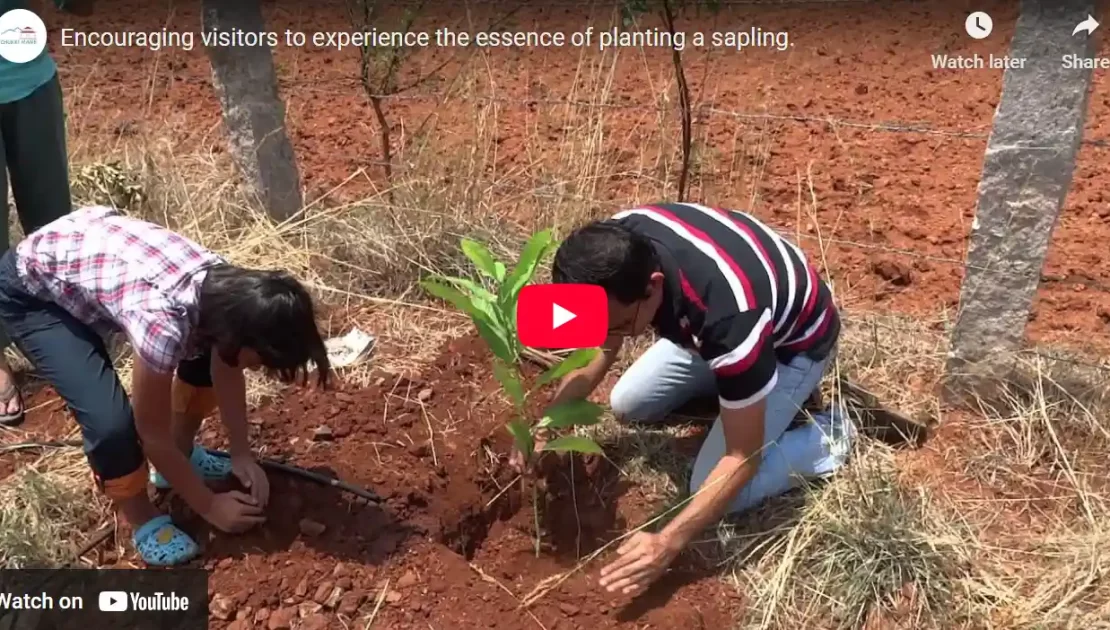Planting Champaka tree at Chukki Mane By Rohit Girota