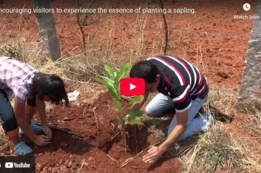 Planting Champaka tree at Chukki Mane By Rohit Girota