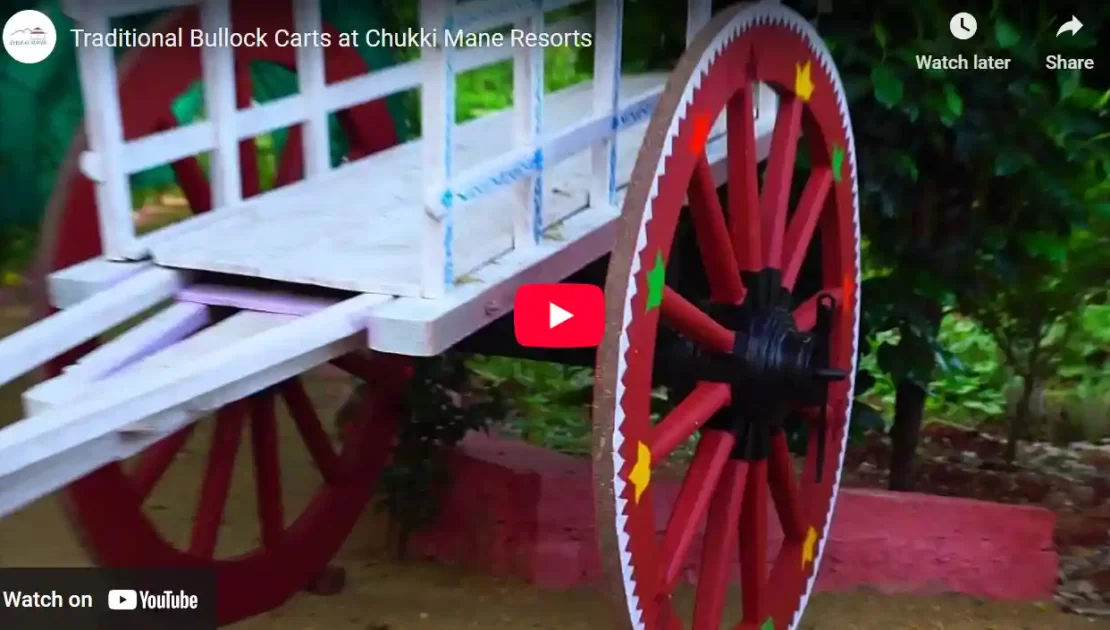 Traditional Bullock Cart Ride at CHUKKI MANE