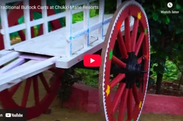 Traditional Bullock Cart Ride at CHUKKI MANE