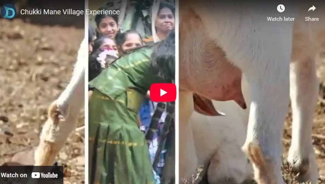 Chukki Mane Village Experience