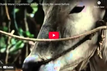 Weekend Village Tours – Chukki Mane