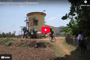 Bullock Cart Discoveries at ChukkiMane