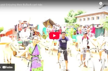 Guest Enjoying their Bullock cart ride