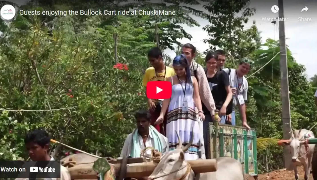 Foreigners Enjoying the Bullock Cart ride at ChukkiMane