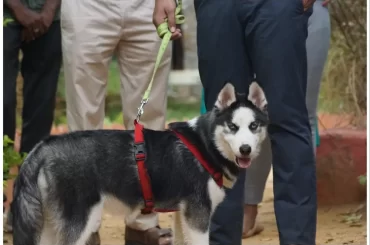 pet friendly Place near Bangalore
