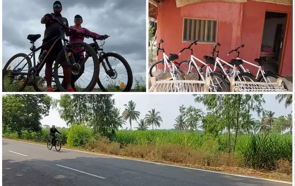 cycling adventure at Chukki Mane