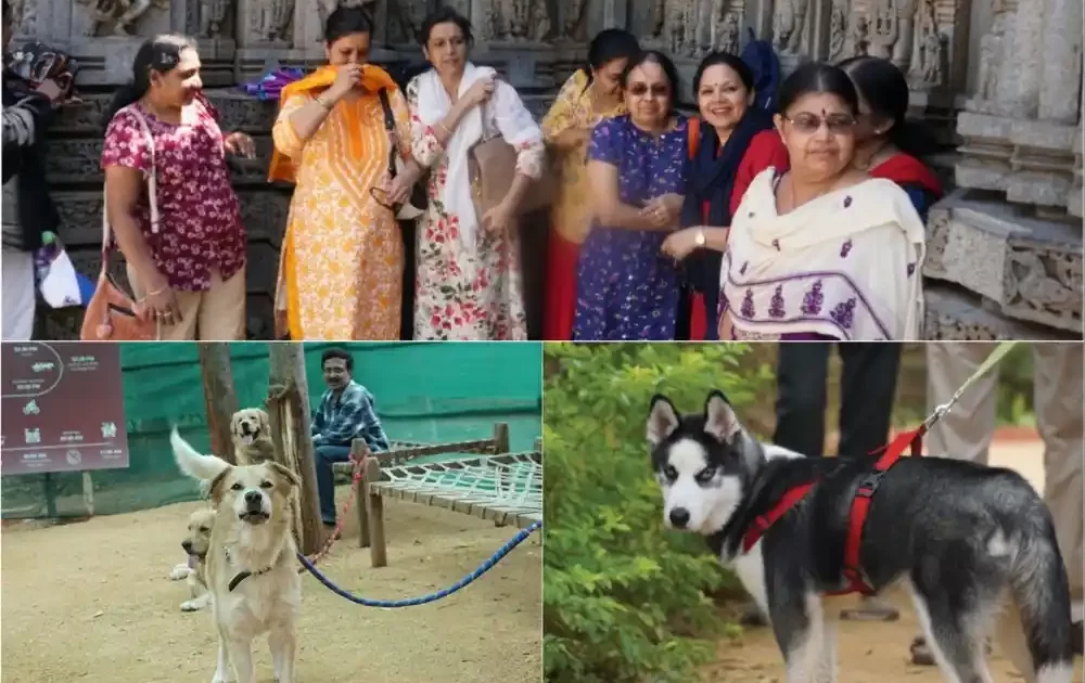 Senior-citizens-and-pet-friendly