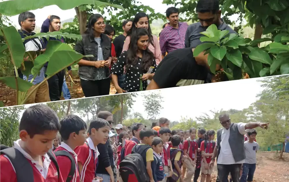 the-green-camp-at-chukkimane