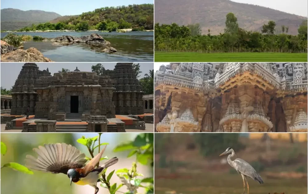 Natural Treasures of Chukki Mane Village Resort