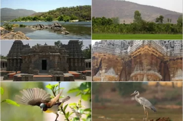 Natural Treasures of Chukki Mane Village Resort