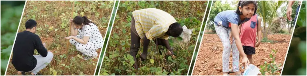 Embracing the Nature Enthusiast Within