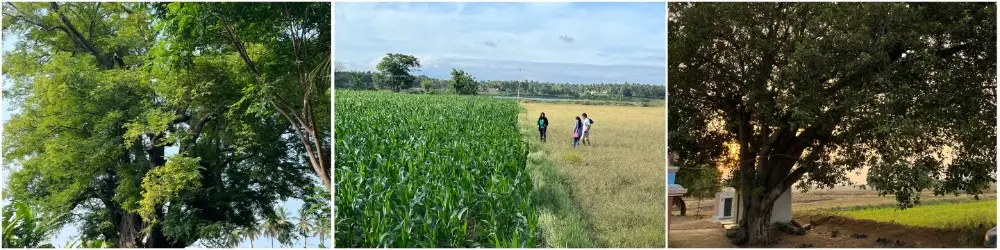 Preserving Nature's Balance