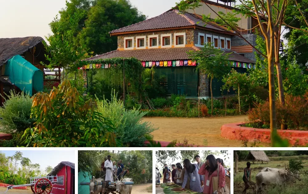 Eco Friendly Tourism