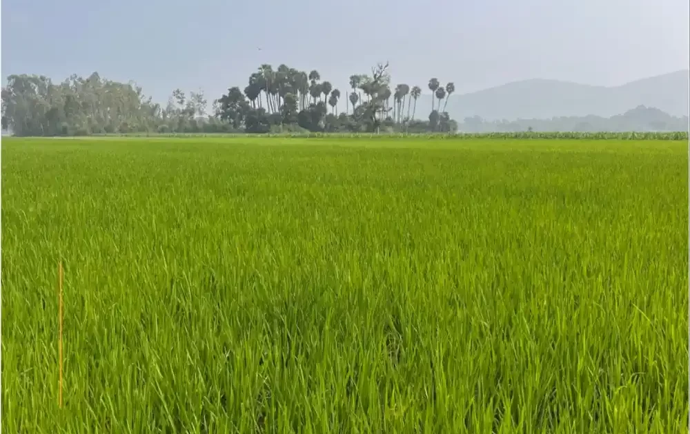 Chukki Mane Village Resort