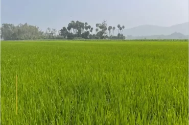 Chukki Mane Village Resort