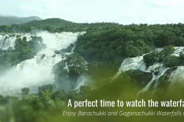 Experience the Majestic Monsoon at ChukkiMane: Discover the Gaganachukki and Barachukki Waterfalls!