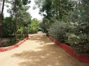 Best Pre Wedding Photoshoot Bangalore