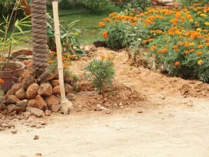 Best Pre Wedding Photoshoot Locations near Bangalore