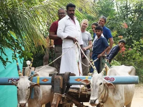 Bullock Cart Riding Camp Resort near Bangalore
