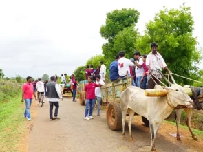 business-school-students-enjoying-bullockcart-ride