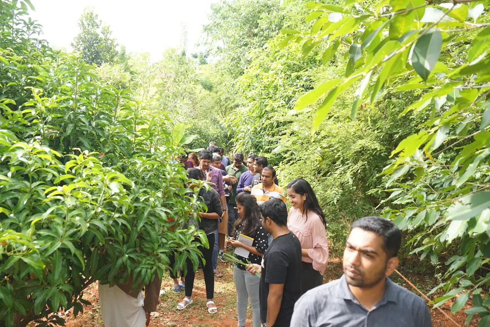 Corporate Outing Near Bangalore