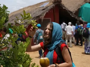 experiencing-citric-fruits-grown-at-chukkimane