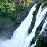 home-stay-near-shivanasamudra