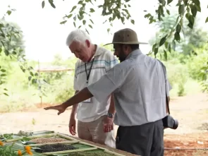 importance-of-millets