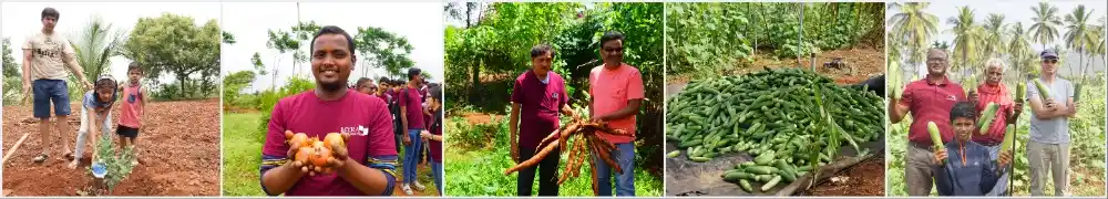 The Essence of Permaculture